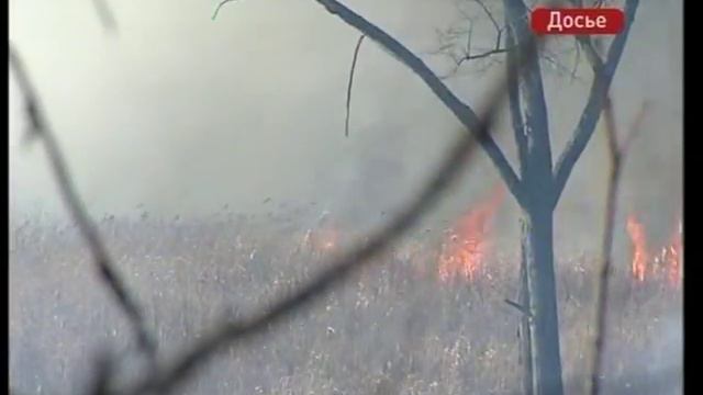 В Приморье продолжают борьбу с пожарами смотреть онлайн