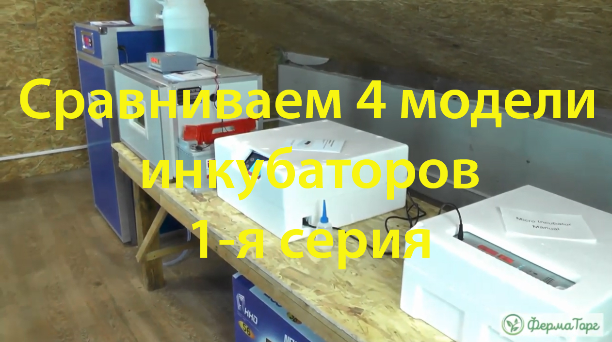 Сравниваем 4 модели инкубаторов, закладываем в них яйца Доминант Суссекс Д 104. .mp4 смотреть онлайн