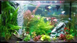 Аквариум 140 литров