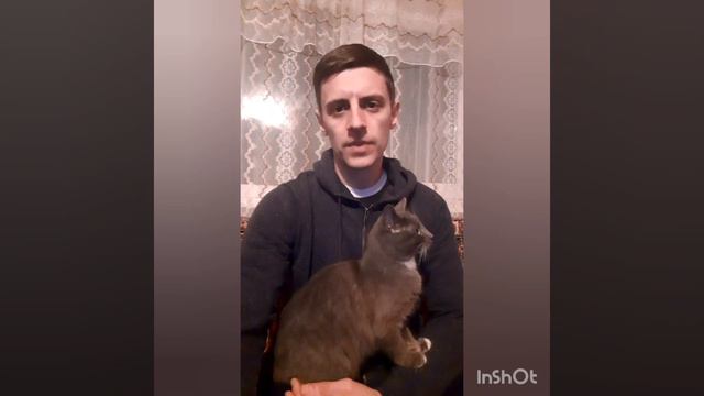 2. У чому суть методу Шелухіна? смотреть онлайн