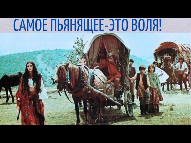 Нет такого коня на котором от самого себя ускакать можно! / Фильм "ТАБОР УХОДИТ В НЕБО"- Разбор. смотреть онлайн