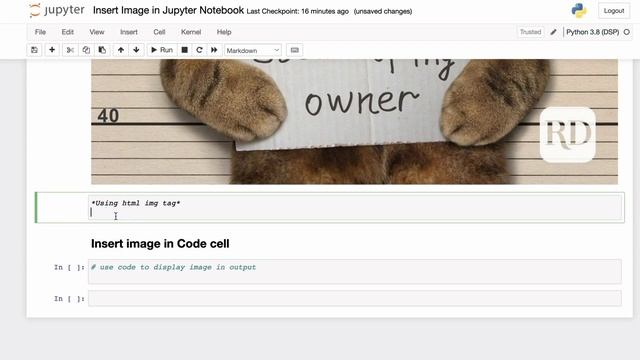 Insert Image in Jupyter Notebook смотреть онлайн