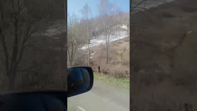 Горы Алтая смотреть онлайн
