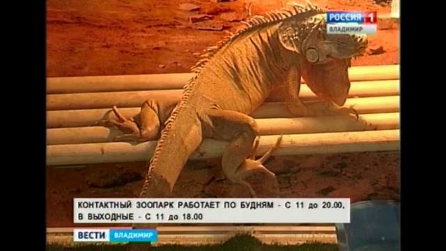 Мир экзотики рядом смотреть онлайн