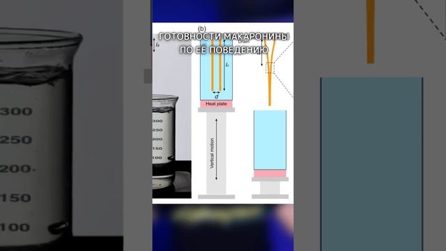 Они вешают нам лапшу на уши #shorts смотреть онлайн