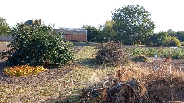 Дом продан . Следующие видео из станицы Ессентукская, где мы купили дом с участком.