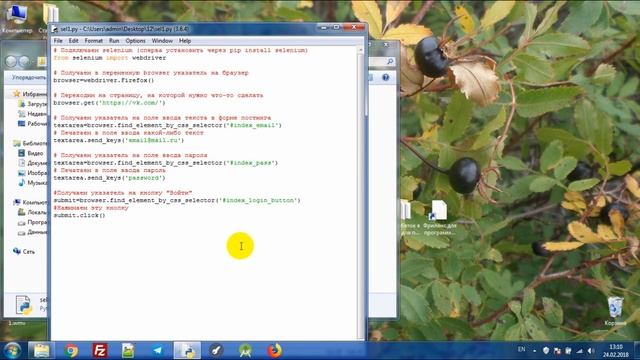 Эмулируем действия в браузере на Python + Selenium смотреть онлайн