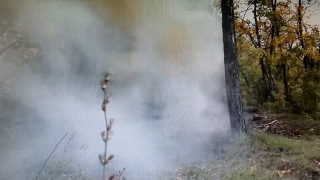 Думовуха из опилок и селитры. смотреть онлайн
