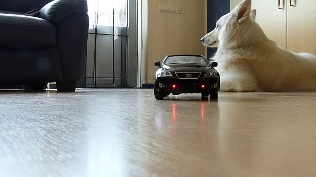 Lexus politie 1/14 1of3 смотреть онлайн