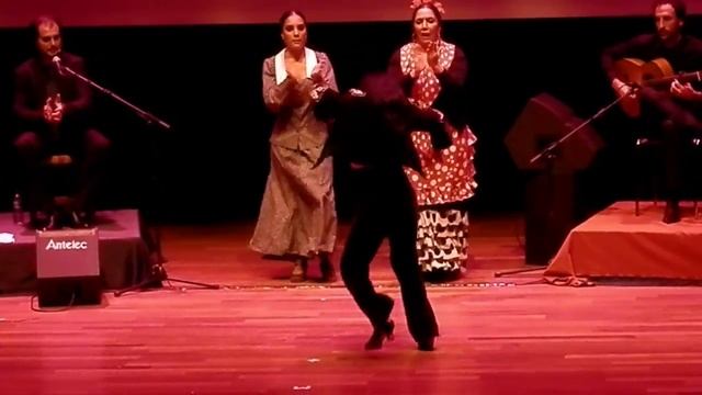 Isa Vega a Carmen Amaya en homenaje Almuñecar смотреть онлайн