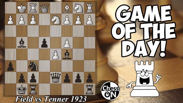 Best Chess Games Ever! Field vs Tenner 1923 смотреть онлайн
