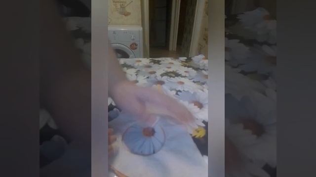 Как сшить гамак - норку, для крысы своими руками смотреть онлайн