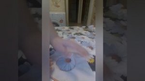 Как сшить гамак - норку, для крысы своими руками