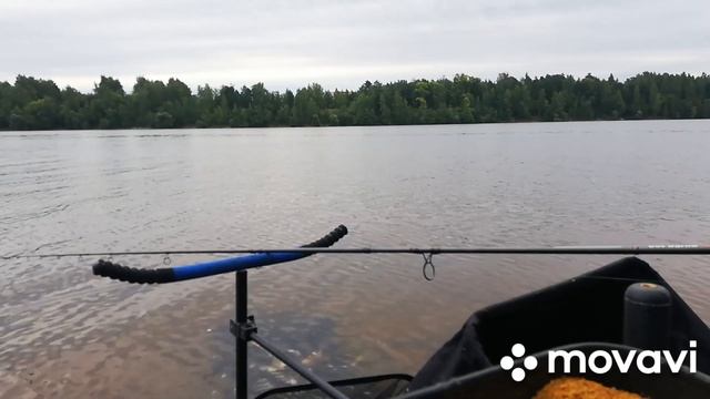 Ловля леща на фидер, на Волге.Кимры 21.08.2021 смотреть онлайн