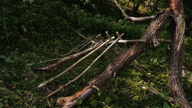 Как построить шалаш в лесу? Лучший шалаш для выживания! смотреть онлайн