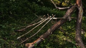 Как построить шалаш в лесу? Лучший шалаш для выживания!