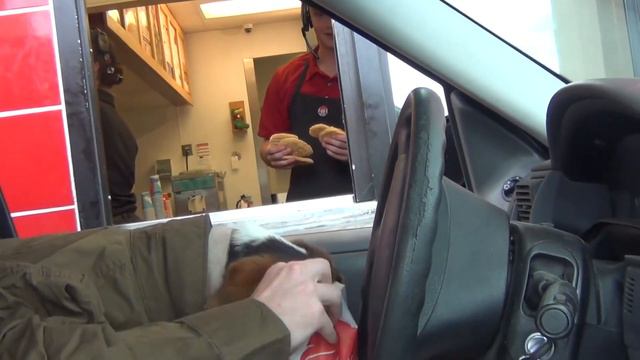 СОБАКА ДЕЛАЕТ ЗАКАЗ В МАКАВТО (ПРАНК)