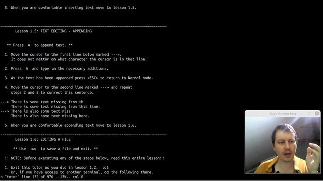 I made a tiny VI clone in 125 lines of python code just to learn about VIM key bindings смотреть онлайн