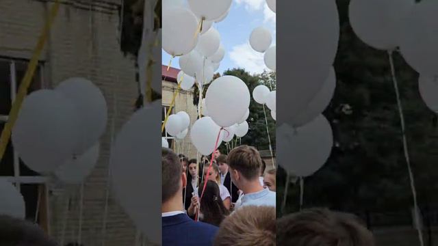 VID_20240903_175646_820 смотреть онлайн