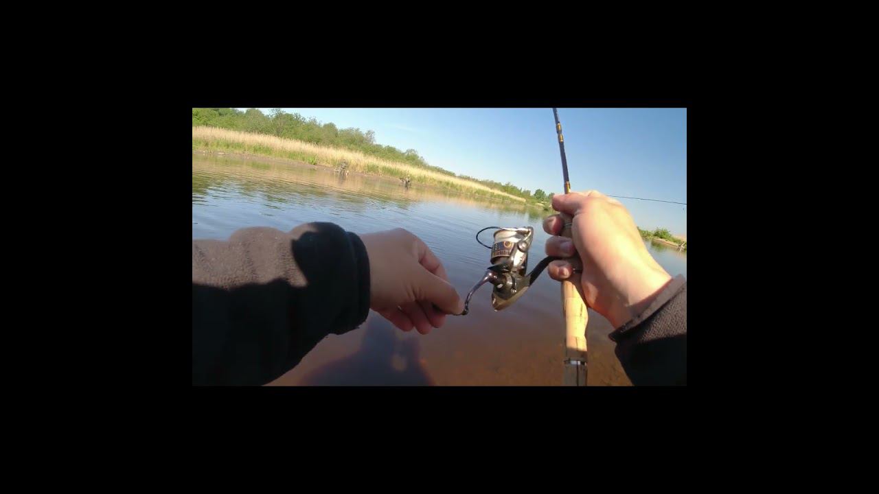 #мормышинг Лещ 1480гр на леску 0,06 смотреть онлайн