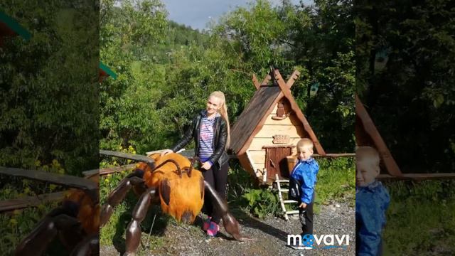 Алтай! Мега огромная 🐝🍯 оса!!! смотреть онлайн