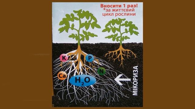 @Микориза и виноград Биопрепарат MikoLife, назначение смотреть онлайн