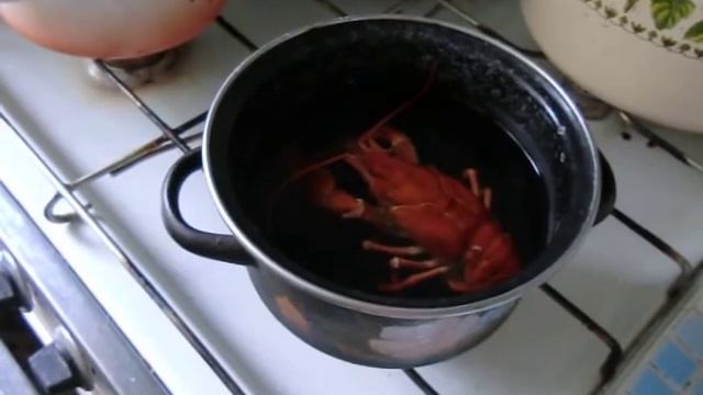 Сварил рака живьем:( смотреть онлайн