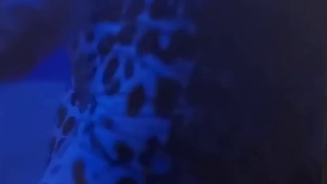 #ONDARUN#crime#drama#black#movie#trailer#TUBI#AngeleahSpeights#LeMastorSpratling#Benzino#RoyceReed смотреть онлайн