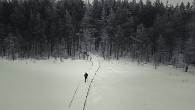 Бег в зимнем лесу