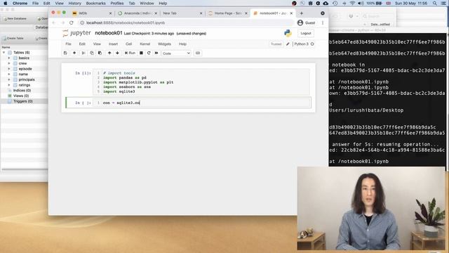 Data visualisation with SQL and Python - Learn SQL with IMDB database смотреть онлайн