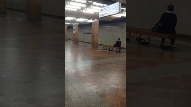 Метро Москвы (сегодня на печатниках поезд простоял 30-минут без обьяснения причины) 01.08.2021г. смотреть онлайн
