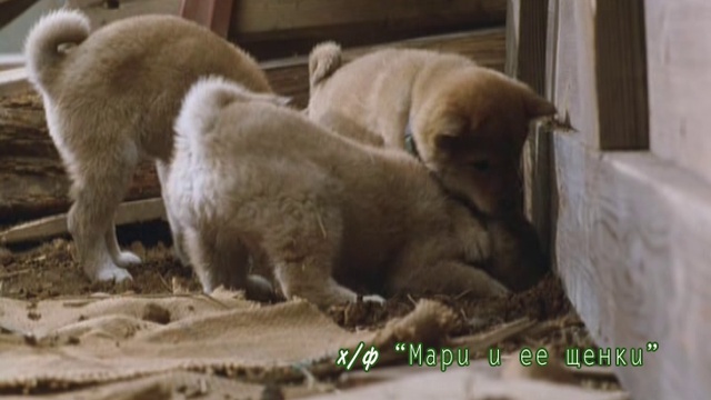 Клуб Шико эфир 07 марта 2015 смотреть онлайн