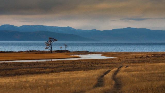 «Dance Me to the End of Love» - Leonard Cohen смотреть онлайн