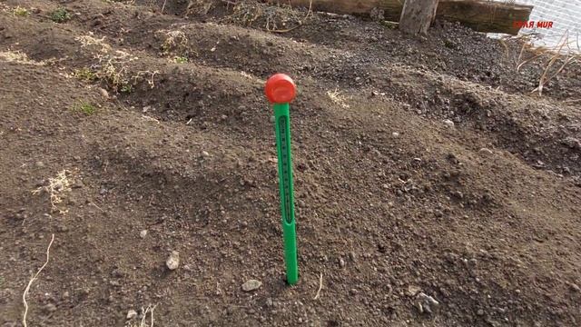 Обзор рассады смотреть онлайн