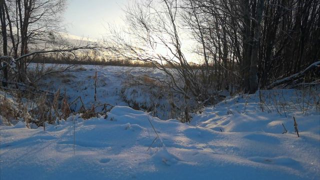 SHAMANIC TRANCE MEDITATION | ПУТЬ ЛИСЫ | ШАМАНСКИЙ БУБЕН ДЛЯ МЕДИТАЦИИ | 25 КИЛОМЕТР смотреть онлайн