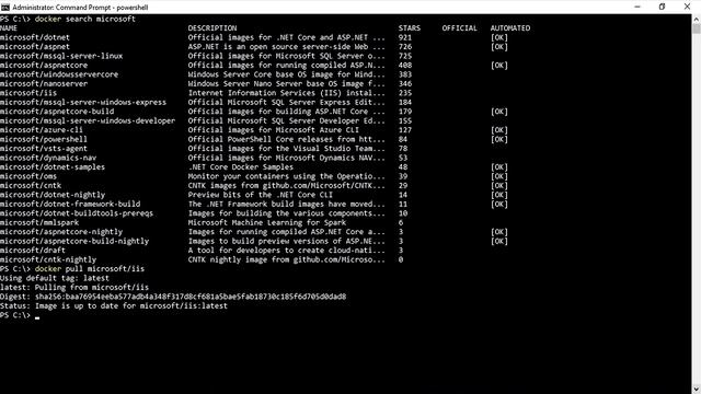 How To Download Container Images From Docker Hub смотреть онлайн