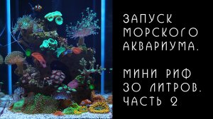 Морской аквариум. Мини риф 30 литров. Часть 2. Ошибки при запуске.