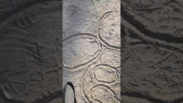 Рецепты быстрых обедов