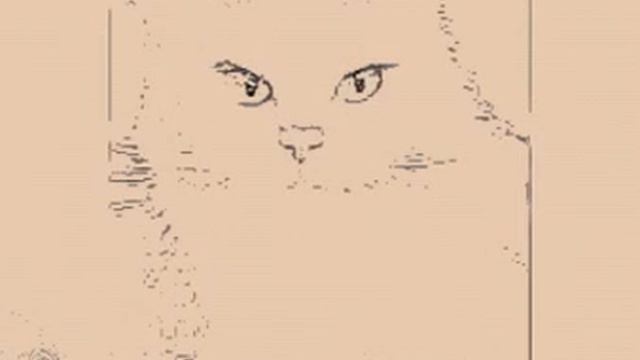 Коты воители огнезвёздик смотреть онлайн