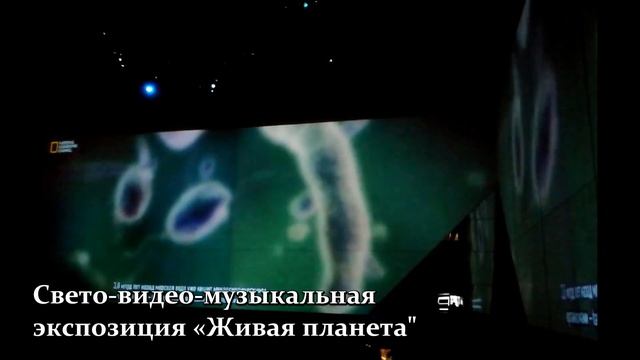 Видеообзор Дарвиновского музея (Москва) смотреть онлайн