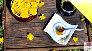 Одуванчик - интересные факты