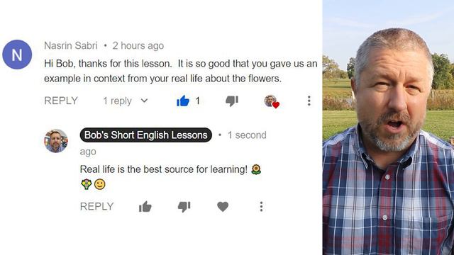 Learn the English Phrases BITE THE DUST and LET THE DUST SETTLE - An English Lesson with Subtitles смотреть онлайн