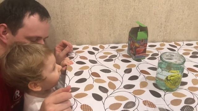 Яйцо динозавра Dino World