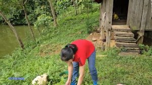 Single Mom: Ep 2 cleaning the house and the first meal in the small home with my son - Ly Thi Thoa