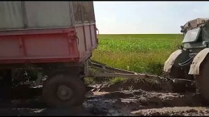 Заготовка силоса 2021. Мтз, т-40, КПИ-2.4