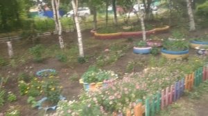 Сибирская роза-Калистегия махровая