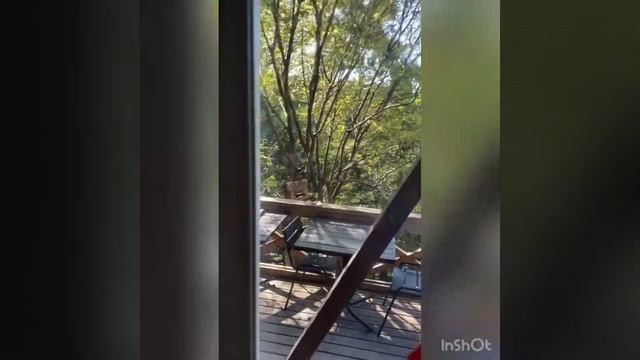 Чудо- салфетка для мытья окон от Гринвей