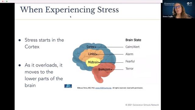 SEL Forum - Trauma Informed Schools: Part I: Tier 1 Support смотреть онлайн