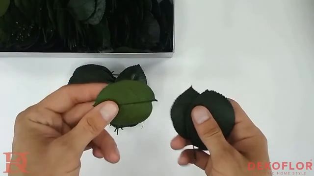 Зеленые листья розы HRS/2000 смотреть онлайн