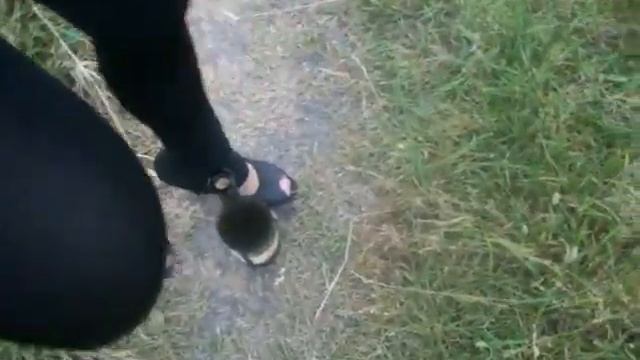 Как открыть бутылку вина без штопора))) смотреть онлайн